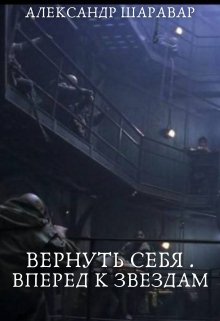 Вернуть себя. Вперед к звездам. Том 0 (Александр Setroi Шаравар)