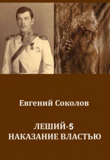 Леший-5. Наказание властью (Евгений Владимирович Соколов)