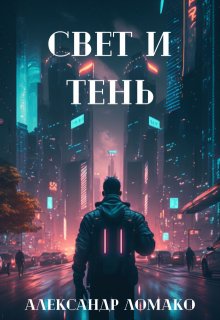 После Лёгкой Прожарки: свет и тень (4 книга) (Александр Ломако)