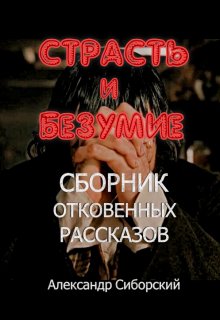 Страсть и Безумие Сборник откровенных рассказов (Александр Сиборский)