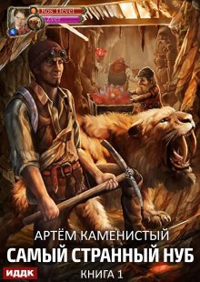 Самый странный нуб. Книга 1 (ИДДК)